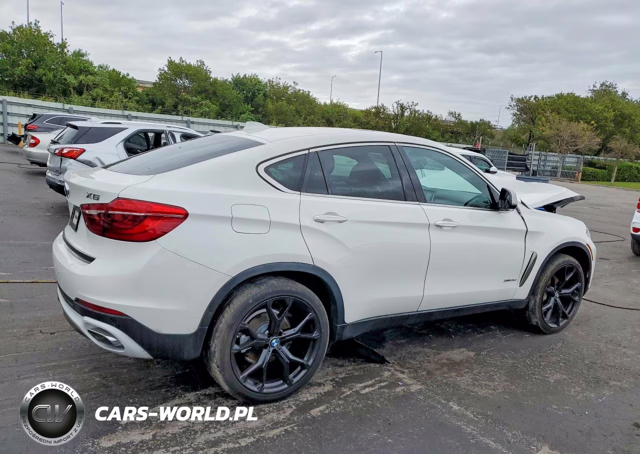 2018 BMW X6 xDrive35I VIN:5UXKU2C58J0X49628 - 3