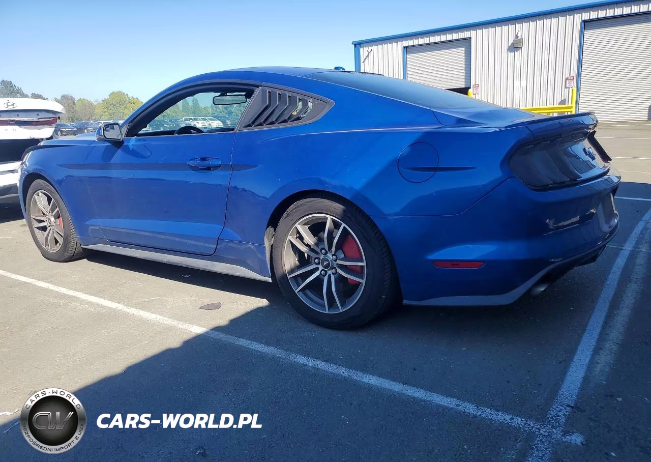 2017 Ford Mustang VIN:1FA6P8THXH5203889 - 2