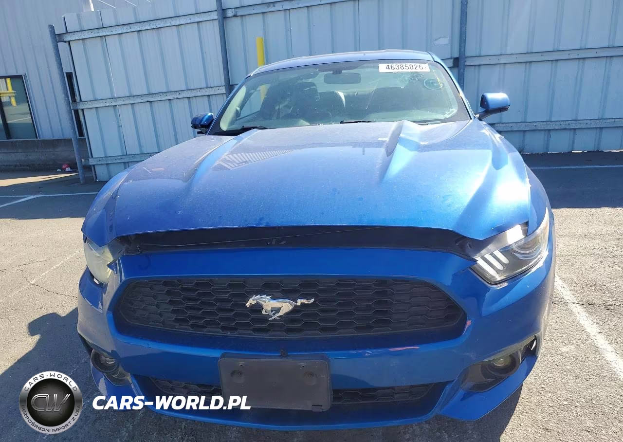 2017 Ford Mustang VIN:1FA6P8THXH5203889 - 5