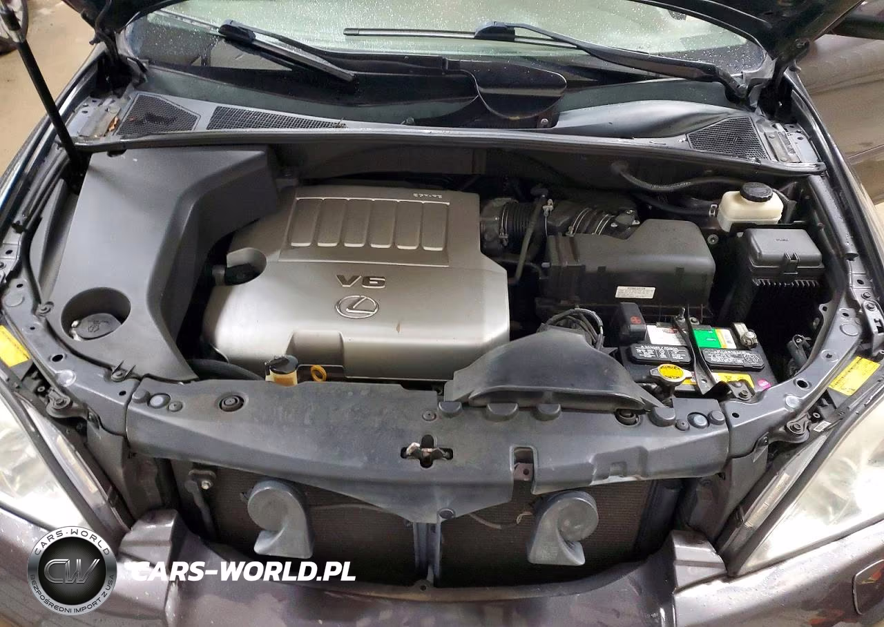 2009 Lexus Rx 350 VIN:2T2HK31U49C111164 - 12