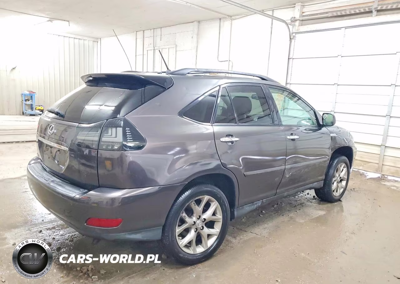2009 Lexus Rx 350 VIN:2T2HK31U49C111164 - 3