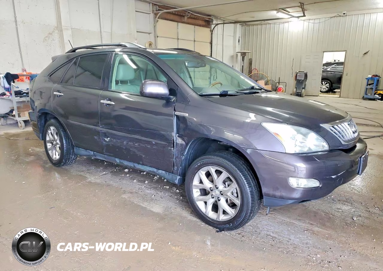 2009 Lexus Rx 350 VIN:2T2HK31U49C111164 - 4