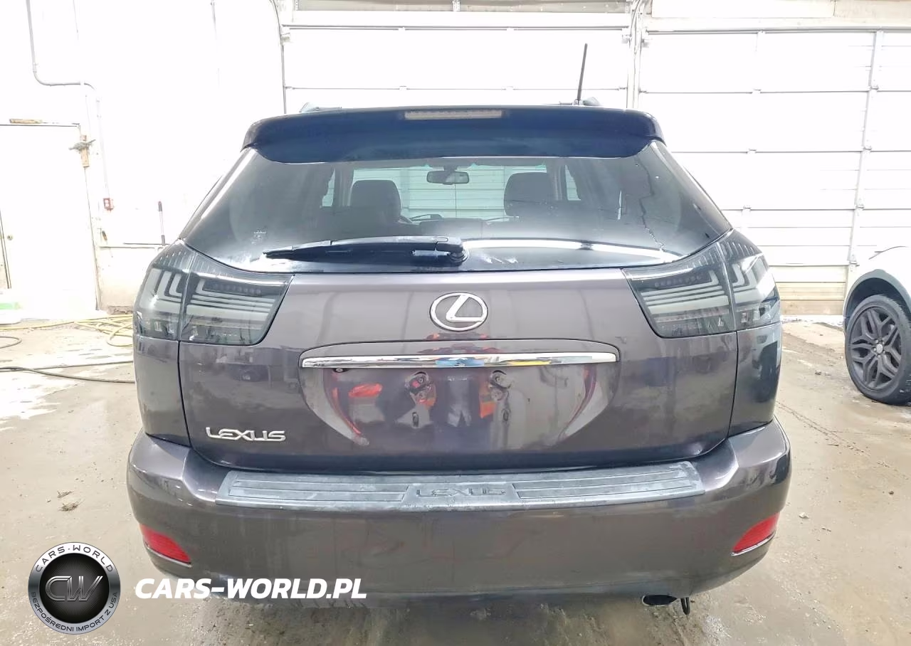 2009 Lexus Rx 350 VIN:2T2HK31U49C111164 - 6