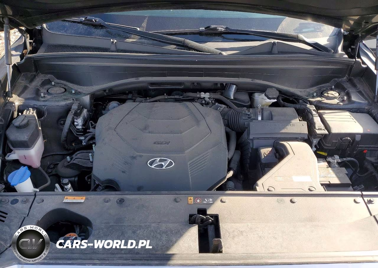 2021 Hyundai Palisade Se VIN:KM8R1DHE0MU273462 - 12