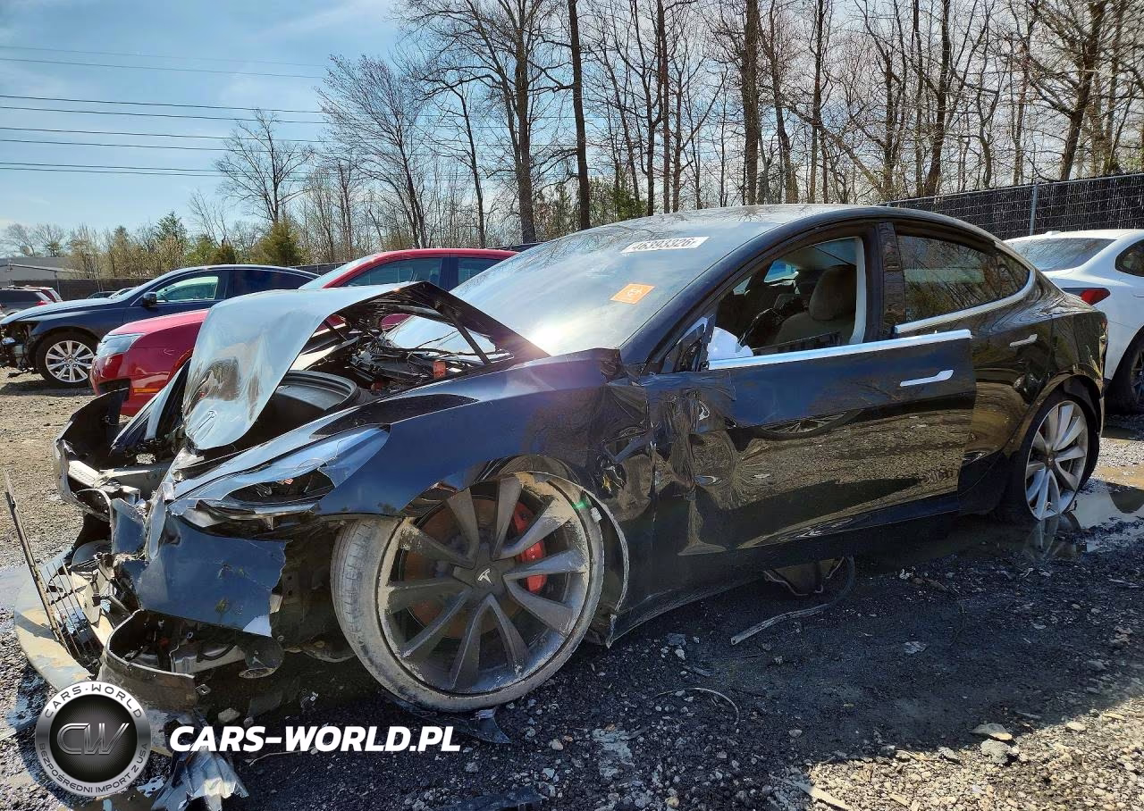 2019 Tesla Model 3