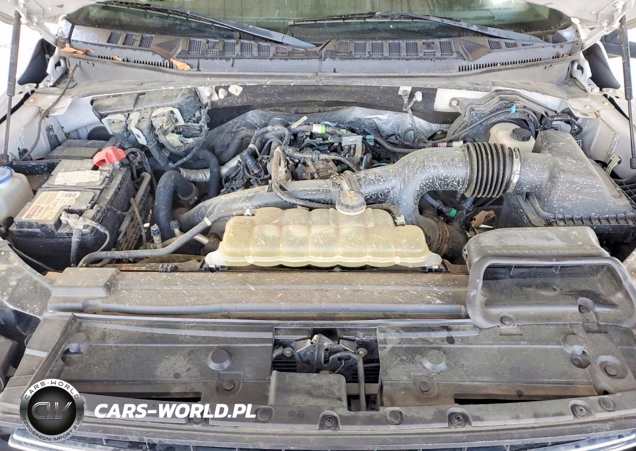2019 Ford F150 Supercrew VIN:1FTEW1EP2KFD35048 - 11