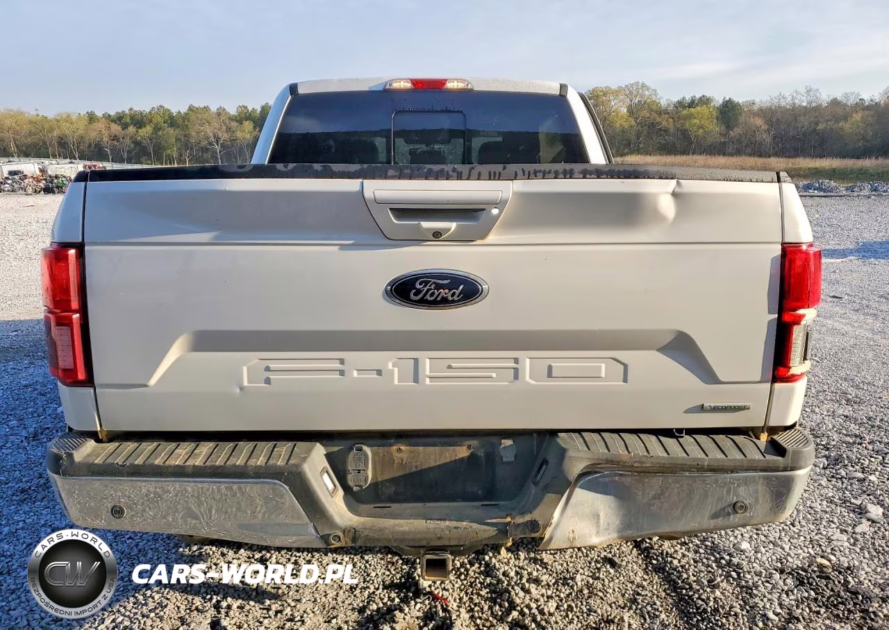 2019 Ford F150 Supercrew VIN:1FTEW1EP2KFD35048 - 6