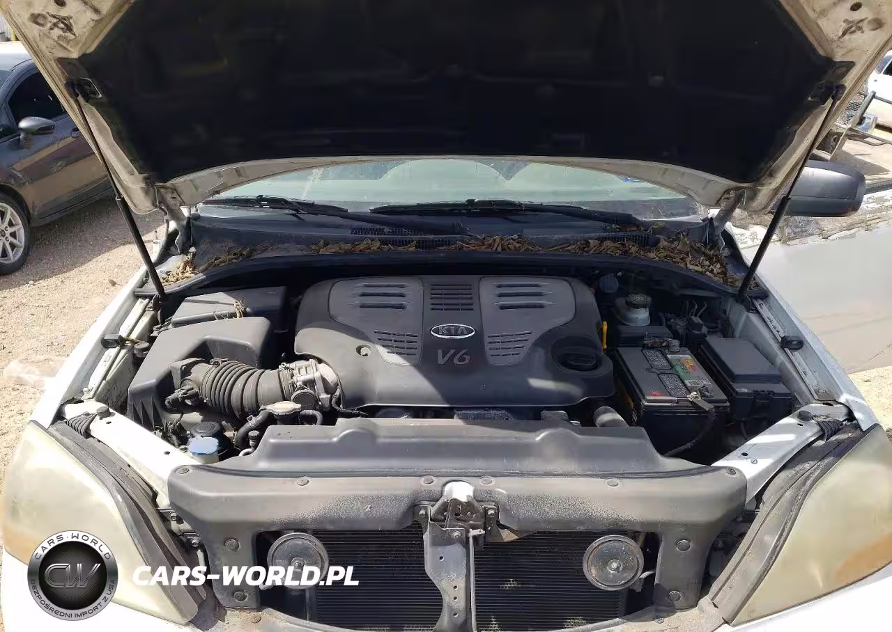 2007 Kia Sorento Base VIN:KNDJD736875731905 - 12