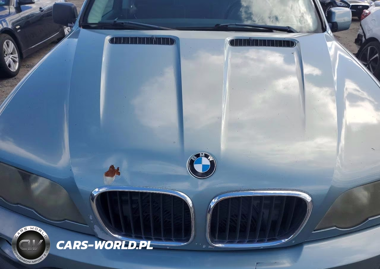 2003 BMW X5 3.0I VIN:5UXFA53543LV93245 - 12