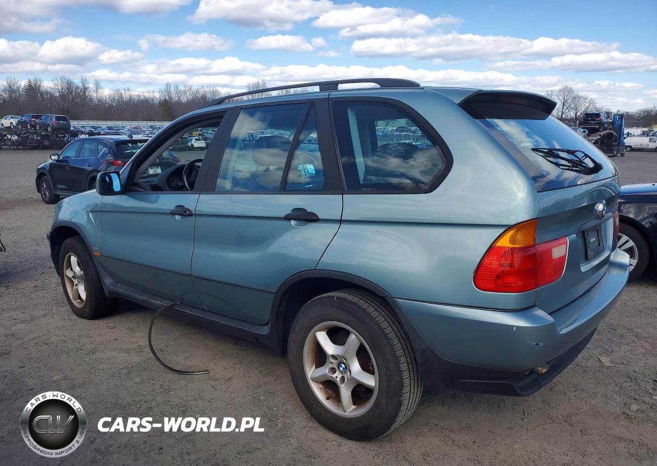 2003 BMW X5 3.0I VIN:5UXFA53543LV93245 - 2