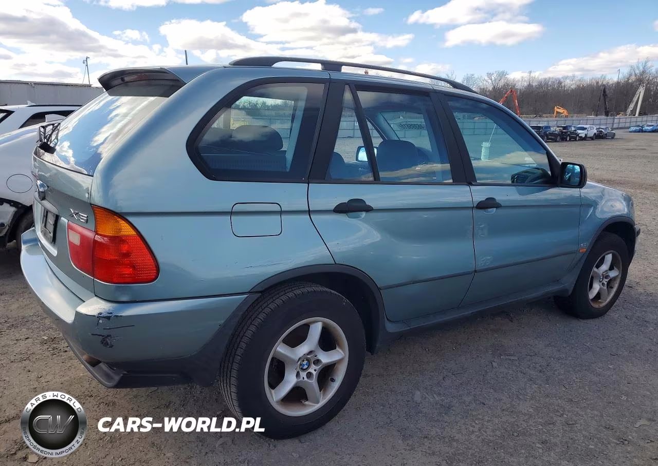 2003 BMW X5 3.0I VIN:5UXFA53543LV93245 - 3