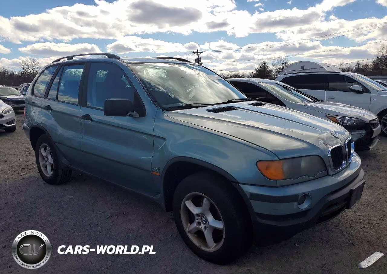 2003 BMW X5 3.0I VIN:5UXFA53543LV93245 - 4