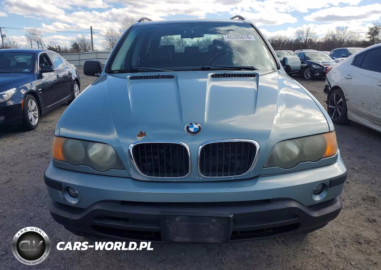 2003 BMW X5 3.0I VIN:5UXFA53543LV93245 - 5