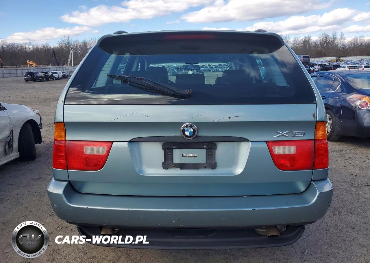 2003 BMW X5 3.0I VIN:5UXFA53543LV93245 - 6
