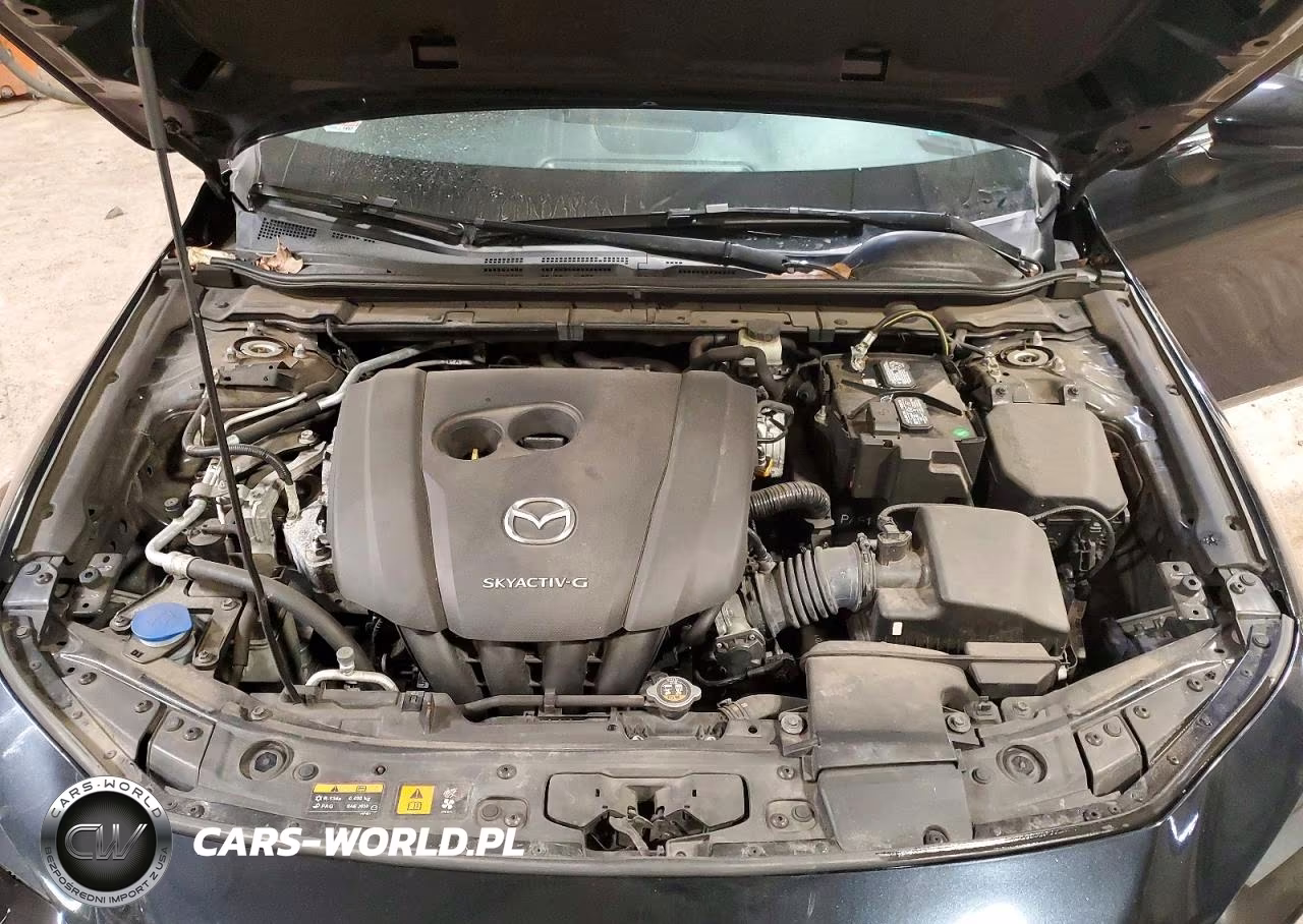 2020 Mazda 3 VIN:JM1BPALM7L1170024 - 11