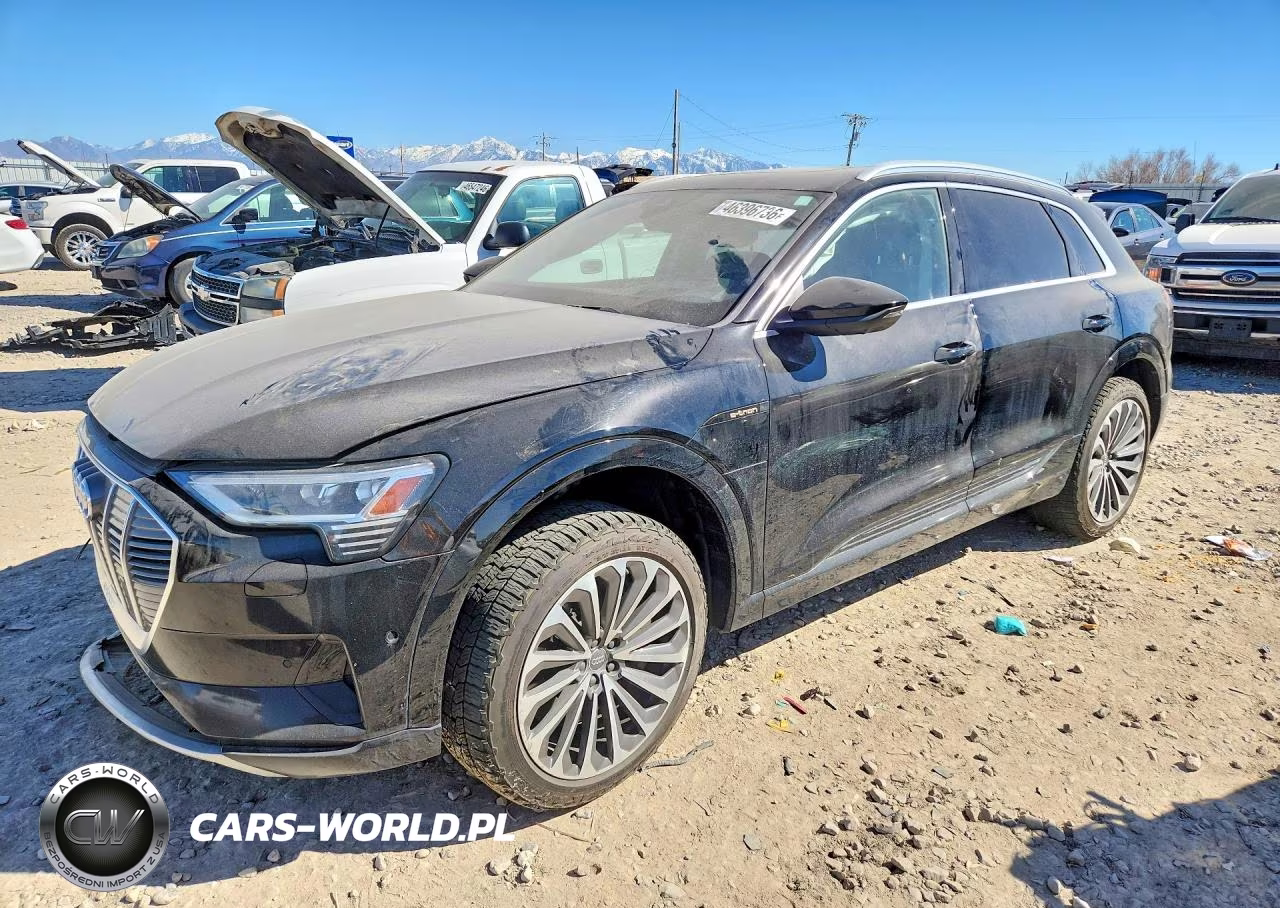 2019 Audi E-Tron Prestige
