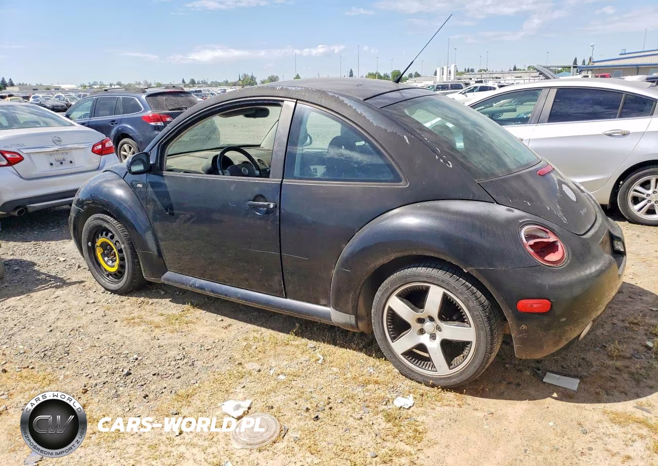 2002 Volkswagen New Beetle Gls Sport VIN:3VWED21C22M436702 - 2