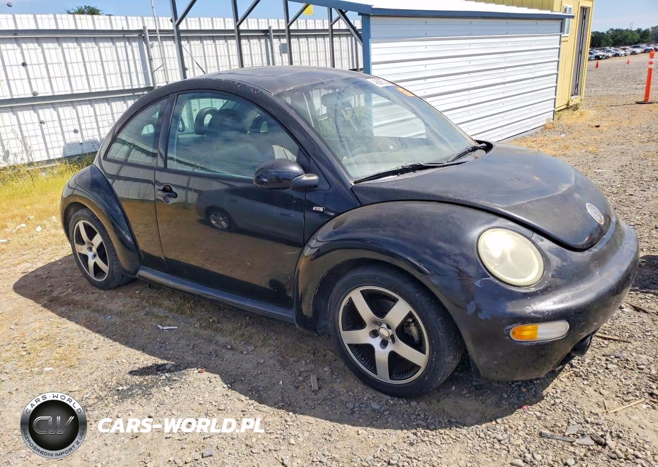 2002 Volkswagen New Beetle Gls Sport VIN:3VWED21C22M436702 - 4