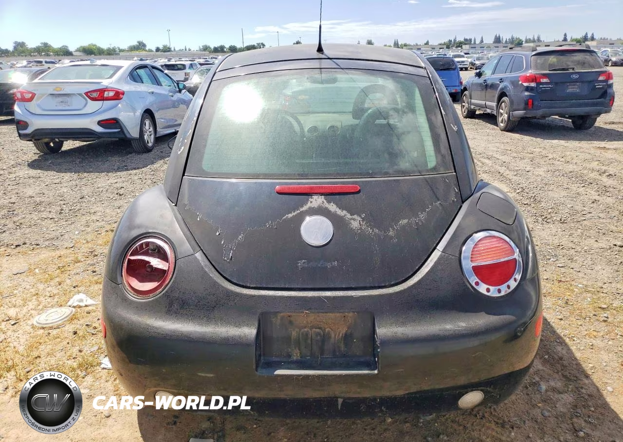 2002 Volkswagen New Beetle Gls Sport VIN:3VWED21C22M436702 - 6