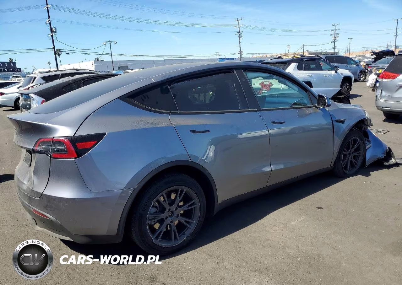 2024 Tesla Model Y VIN:7SAYGDED7RF211585 - 3