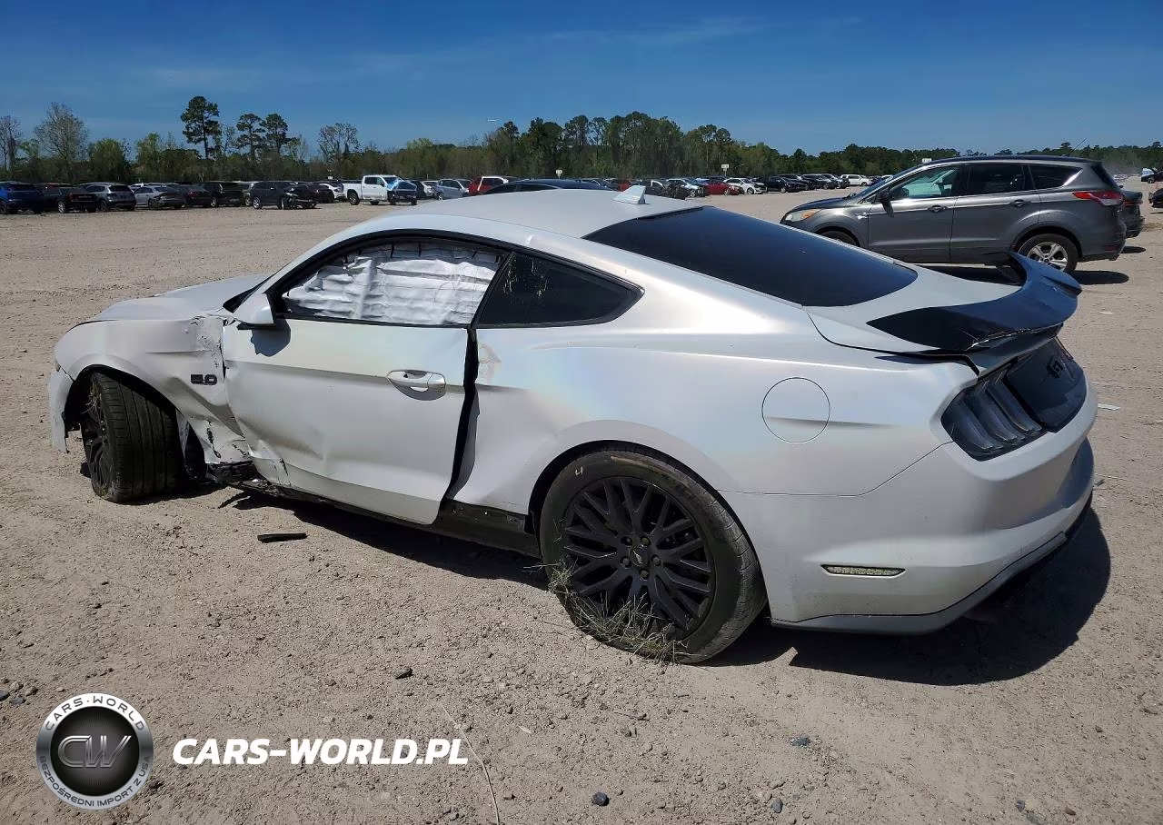 2021 Ford Mustang Gt VIN:1FA6P8CF1M5139492 - 2
