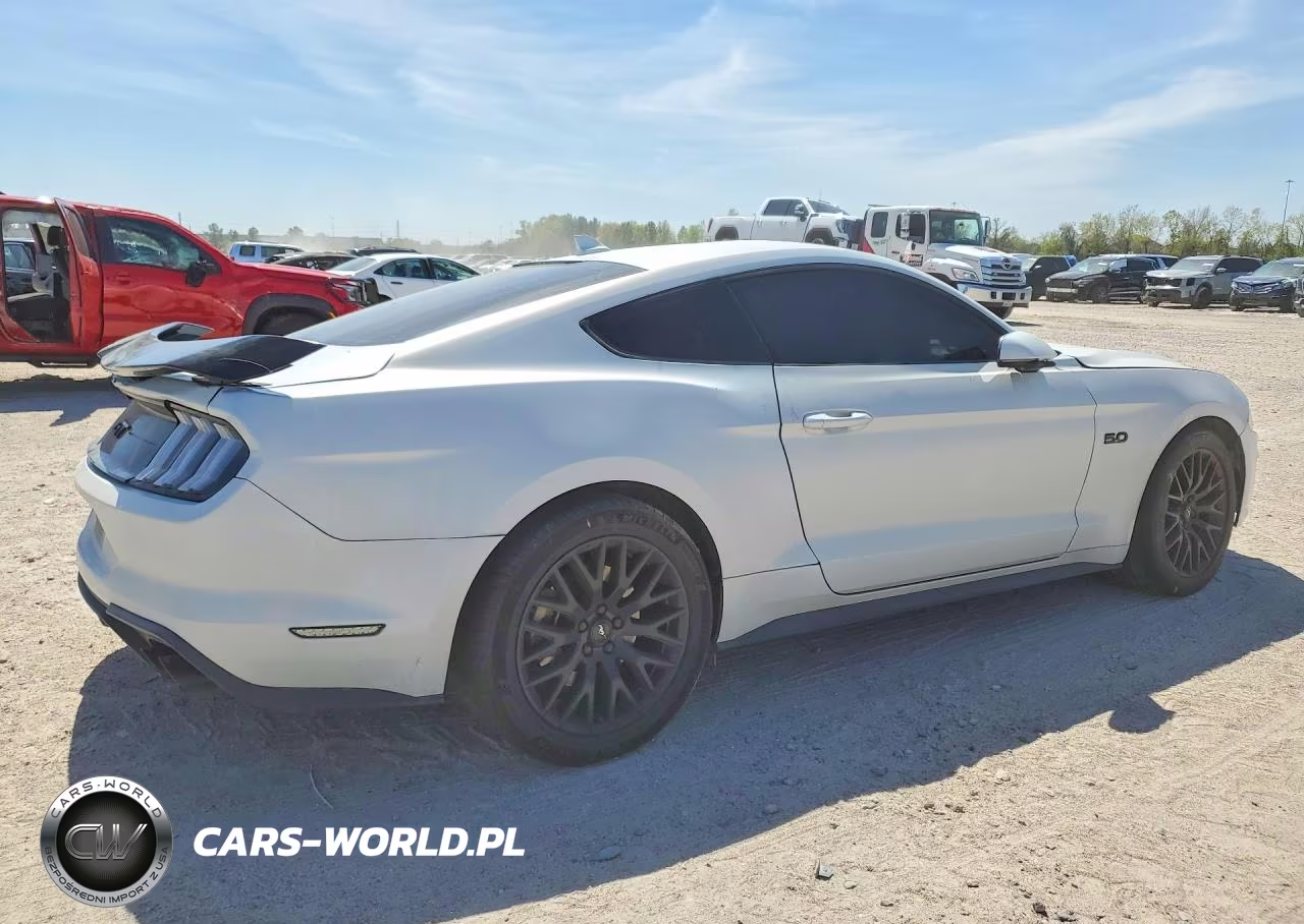 2021 Ford Mustang Gt VIN:1FA6P8CF1M5139492 - 3