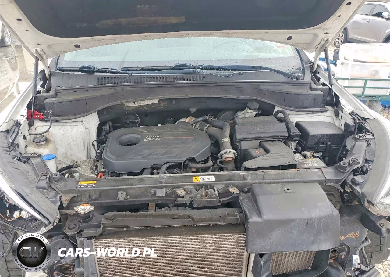 2017 Hyundai Santa Fe Sport 2.0T Ultimate VIN:5XYZWDLA0HG461562 - 12