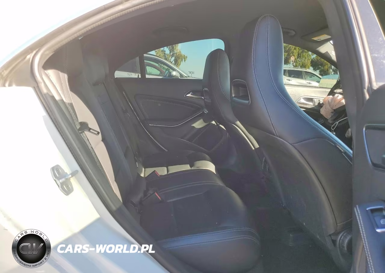 2016 Mercedes-Benz Cla 250 VIN:WDDSJ4EB5GN316536 - 10