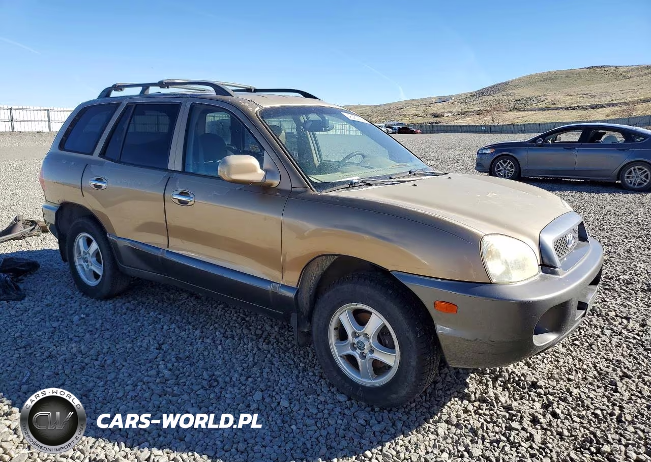 2004 Hyundai Santa Fe Gls VIN:KM8SC73E34U814055 - 4