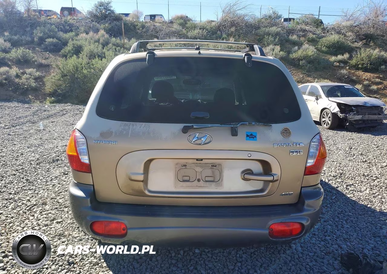 2004 Hyundai Santa Fe Gls VIN:KM8SC73E34U814055 - 6