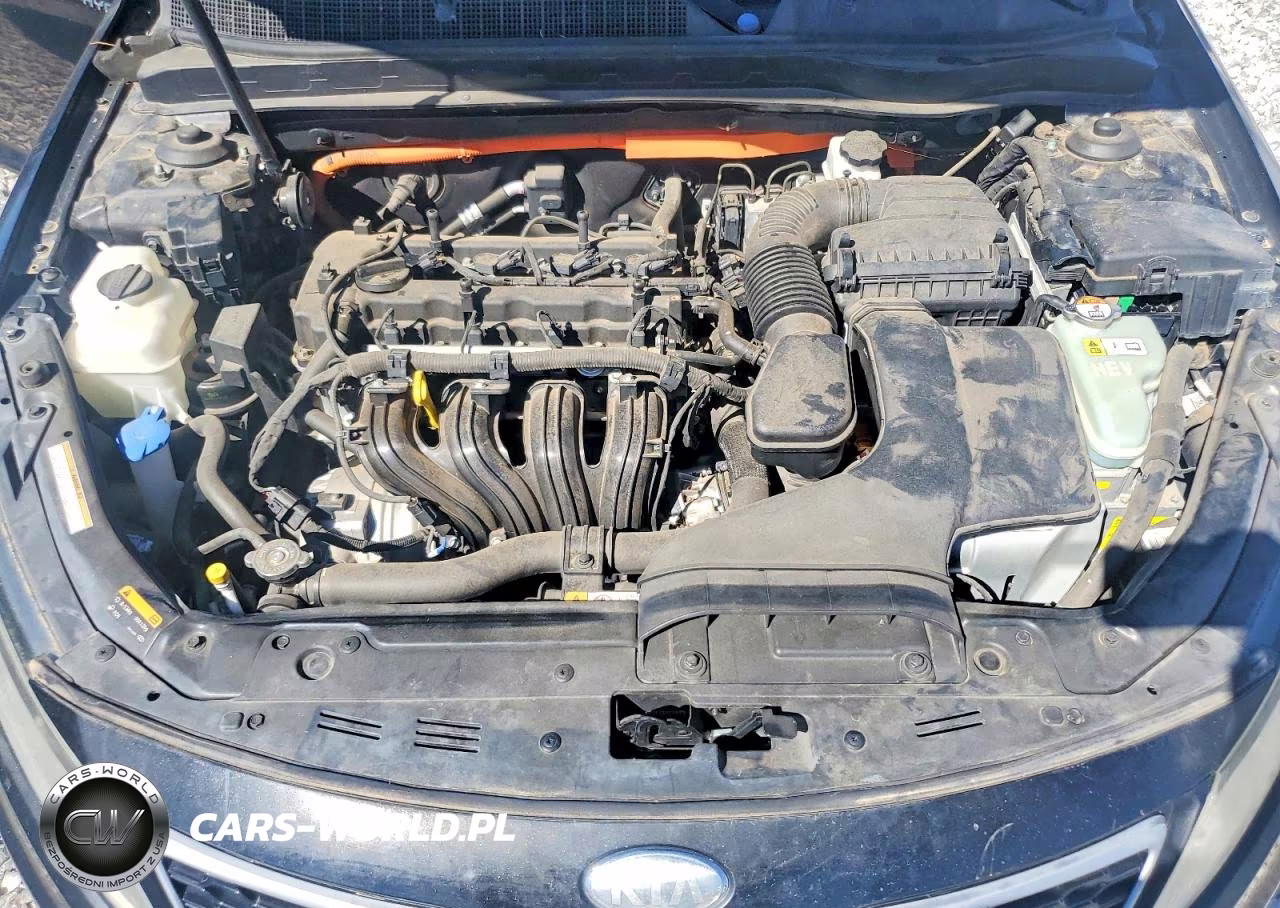 2013 Kia Optima Hybrid Lx VIN:KNAGM4AD5D5038826 - 11