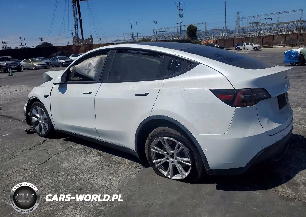 2022 Tesla Model Y VIN:7SAYGDEE8NF341166 - 2
