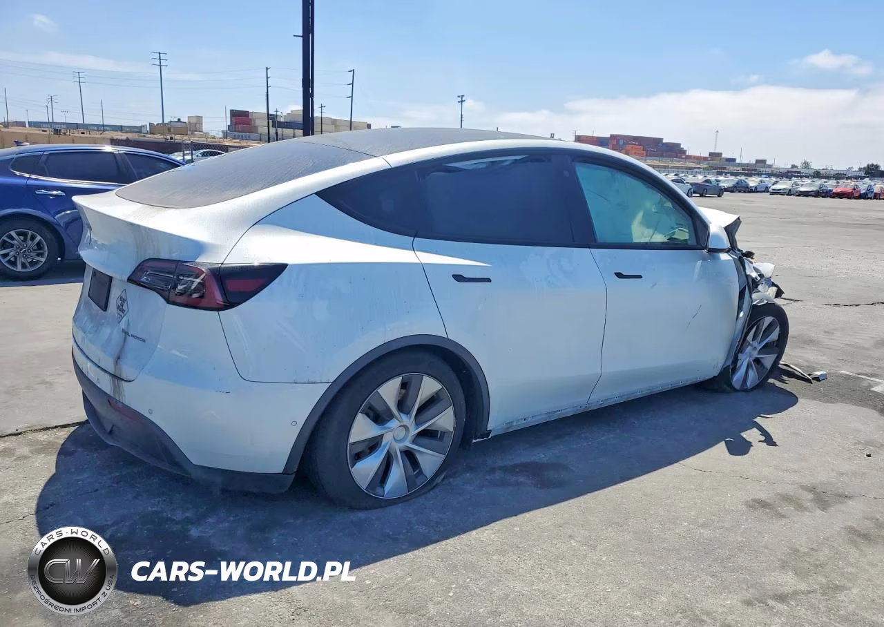 2022 Tesla Model Y VIN:7SAYGDEE8NF341166 - 3