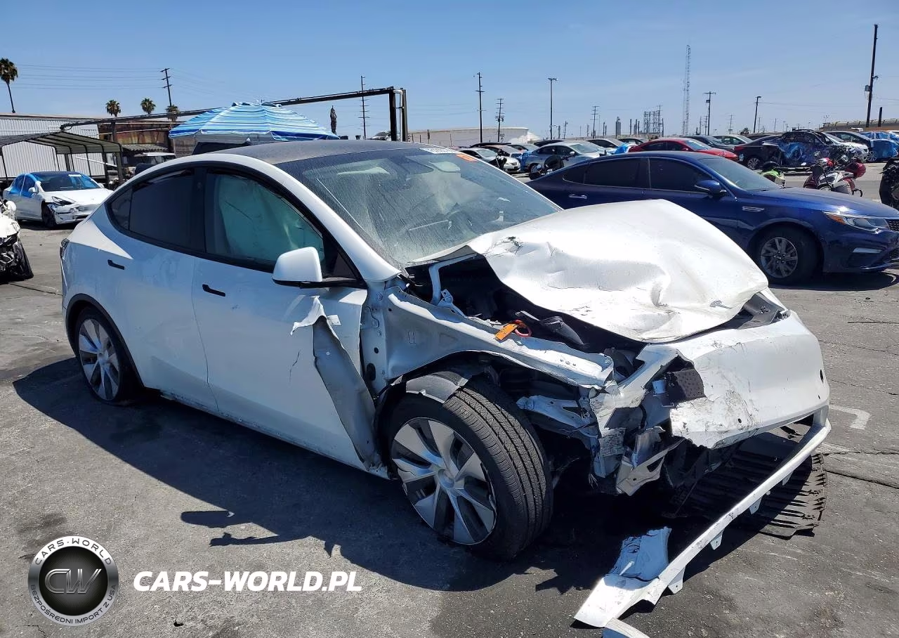 2022 Tesla Model Y VIN:7SAYGDEE8NF341166 - 4