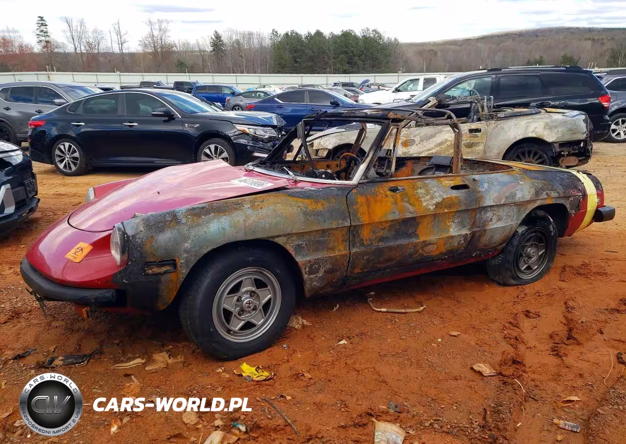 1979 Alfa Romeo Spider Veloce