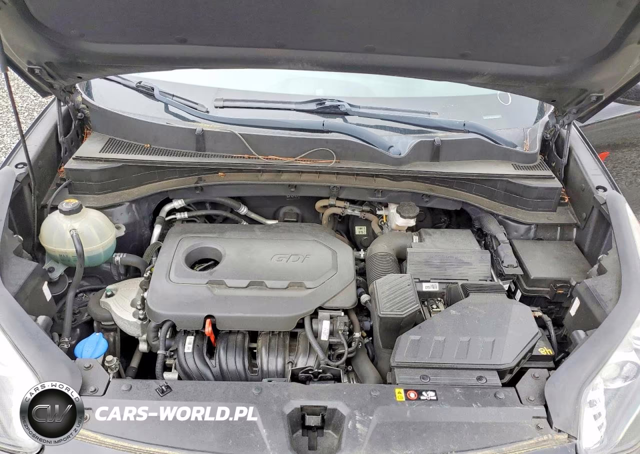 2017 Kia Sportage Lx VIN:KNDPMCAC5H7300035 - 12