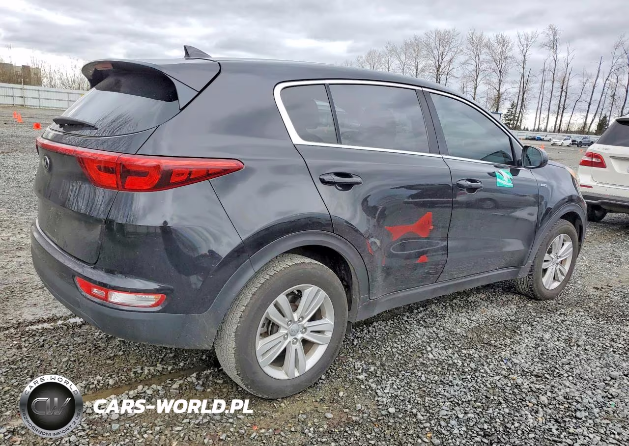 2017 Kia Sportage Lx VIN:KNDPMCAC5H7300035 - 3