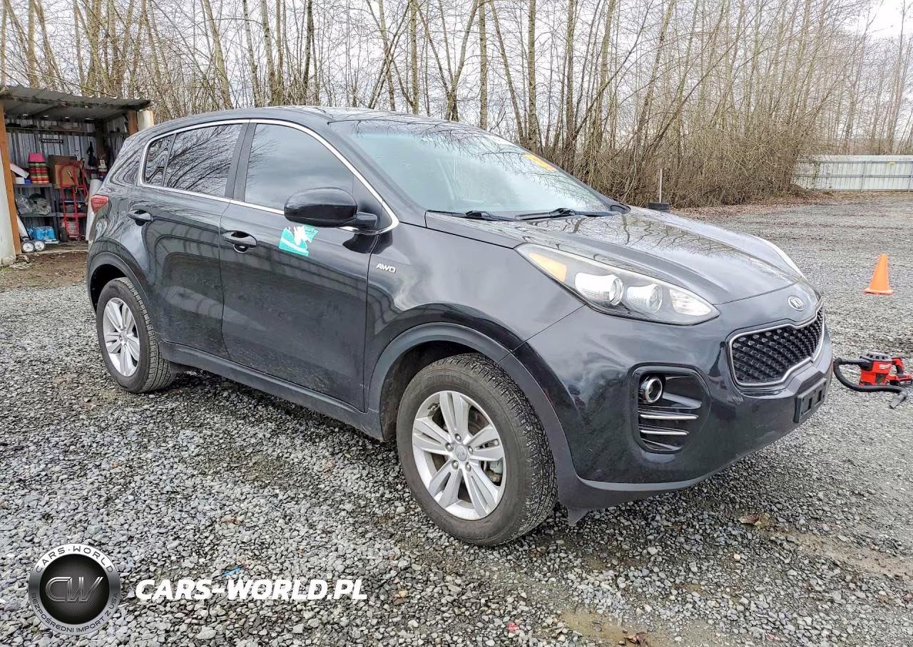 2017 Kia Sportage Lx VIN:KNDPMCAC5H7300035 - 4
