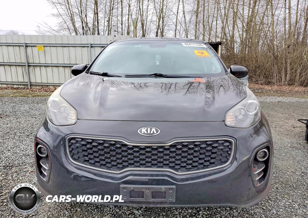 2017 Kia Sportage Lx VIN:KNDPMCAC5H7300035 - 5