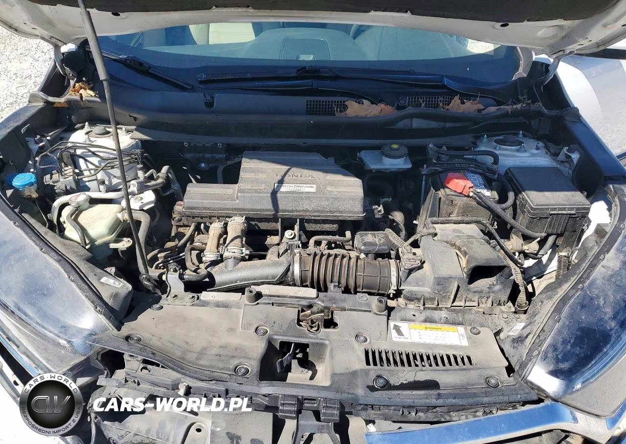 2019 Honda Cr-V Ex VIN:5J6RW1H53KA039152 - 12