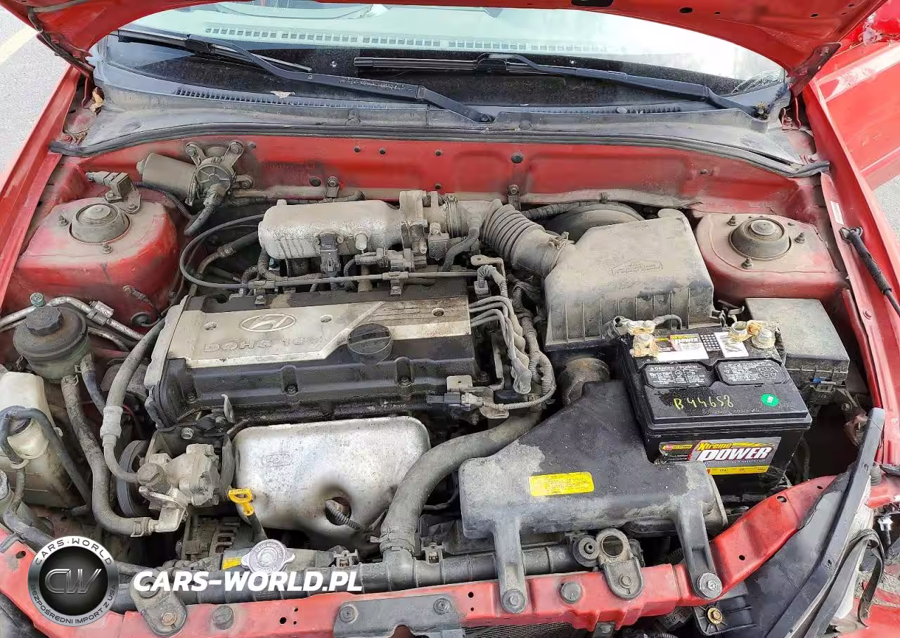 2003 Hyundai Accent Gl VIN:KMHCG45C73U460199 - 11