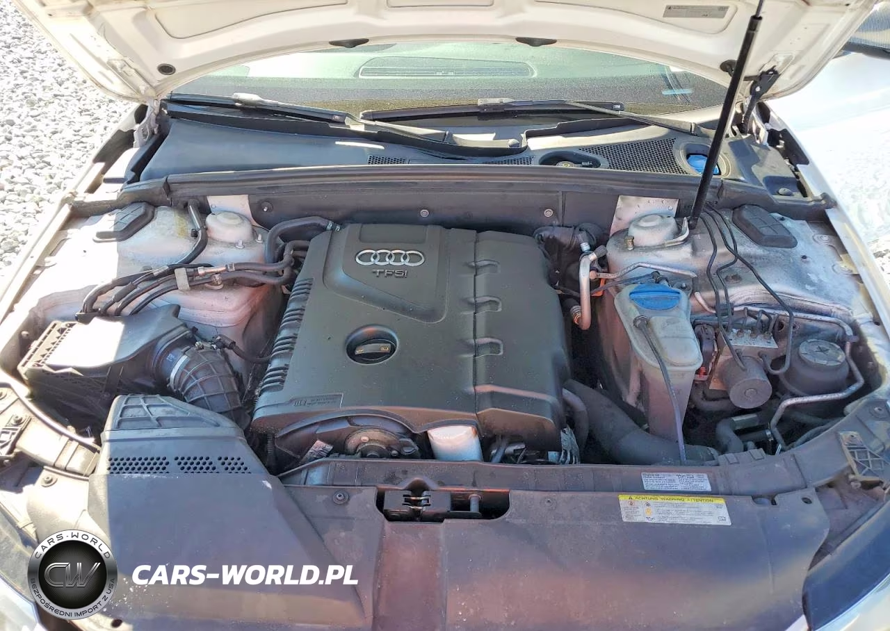 2012 Audi A4 Premium Plus VIN:WAUFFAFL9CA116924 - 11