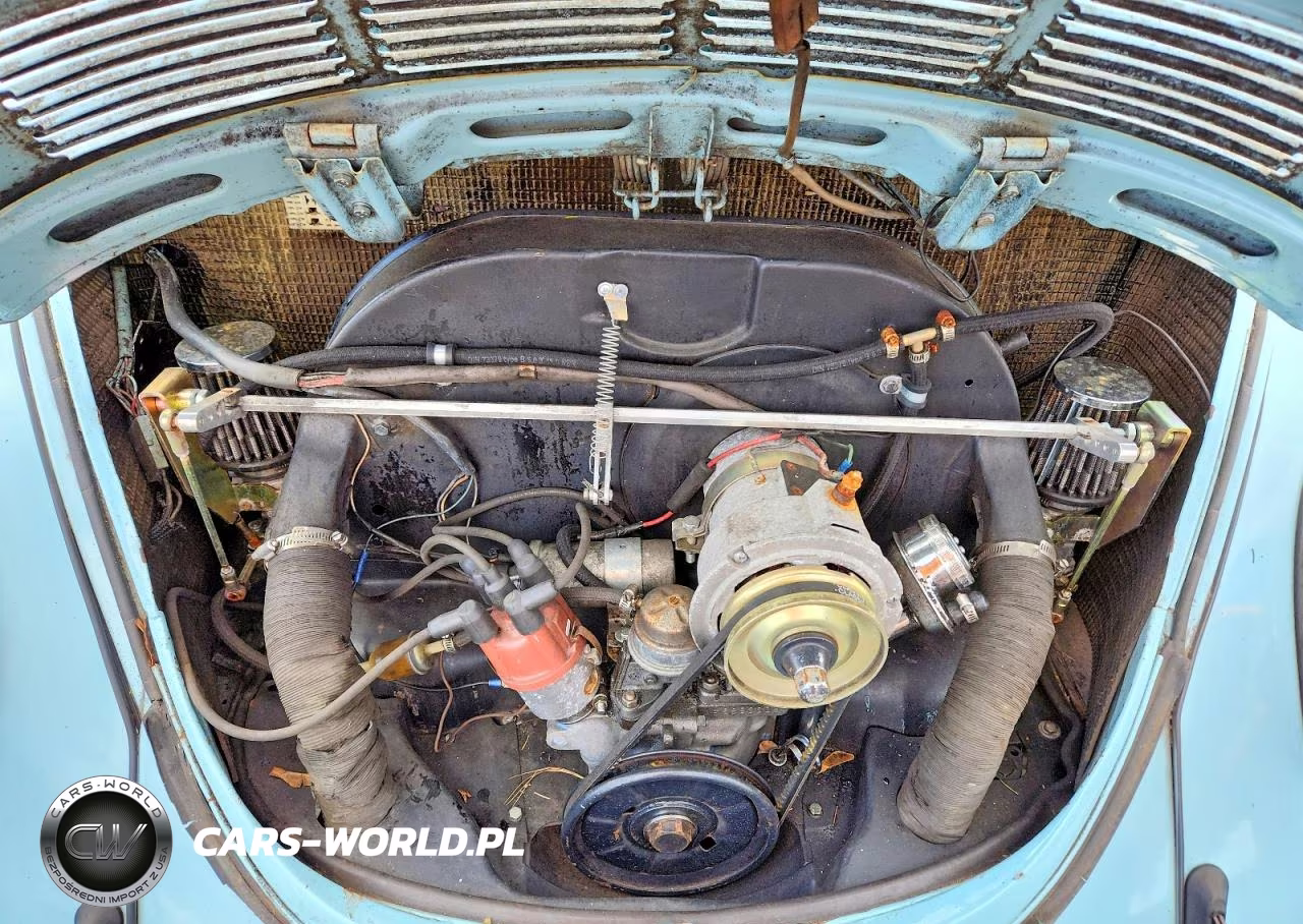 1972 Volk Beetle VIN:LOT-3-46434446 - 11