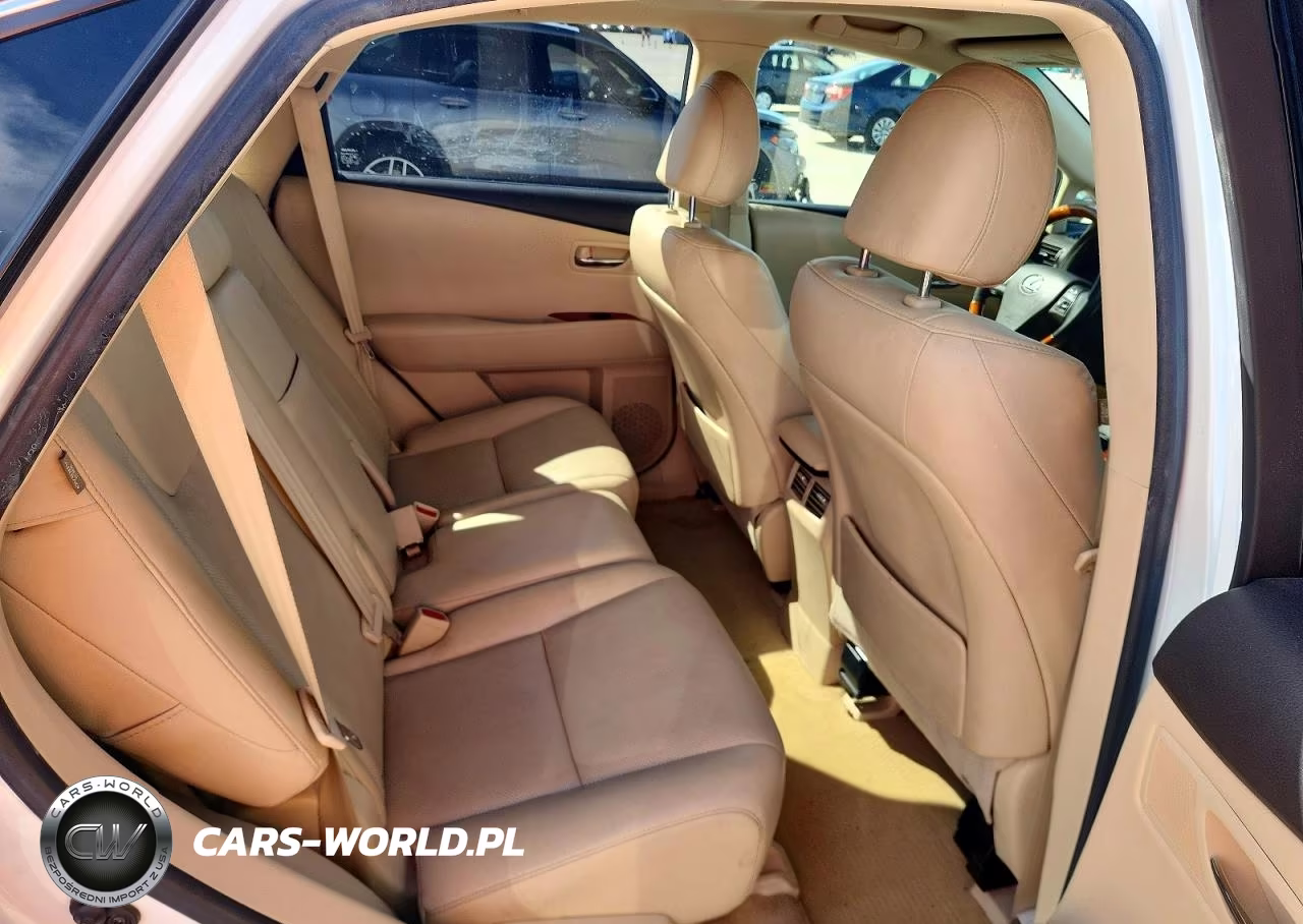 2010 Lexus Rx 350 Base VIN:JTJZK1BA3A2410419 - 10