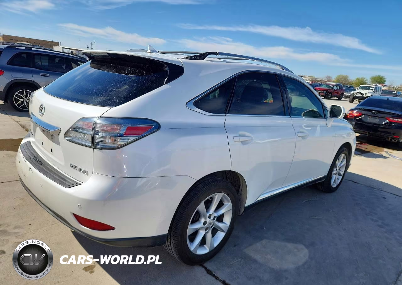2010 Lexus Rx 350 Base VIN:JTJZK1BA3A2410419 - 3