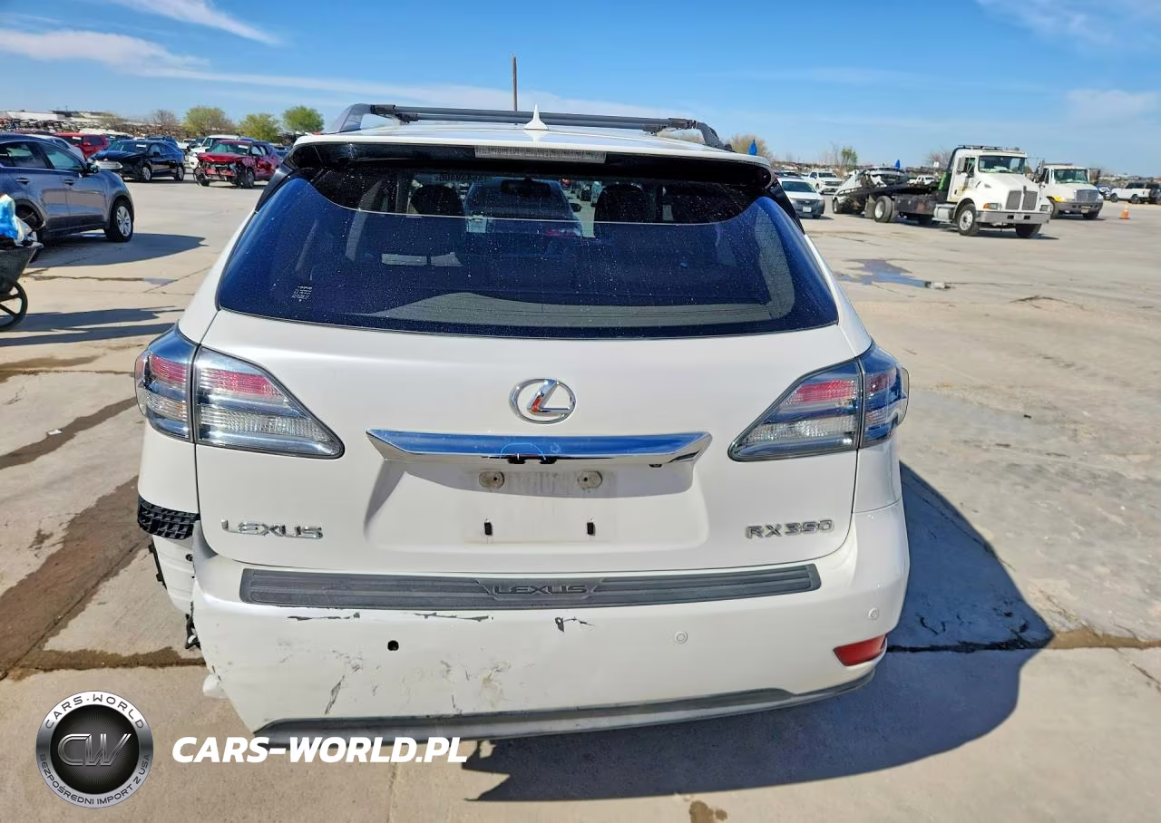 2010 Lexus Rx 350 Base VIN:JTJZK1BA3A2410419 - 6