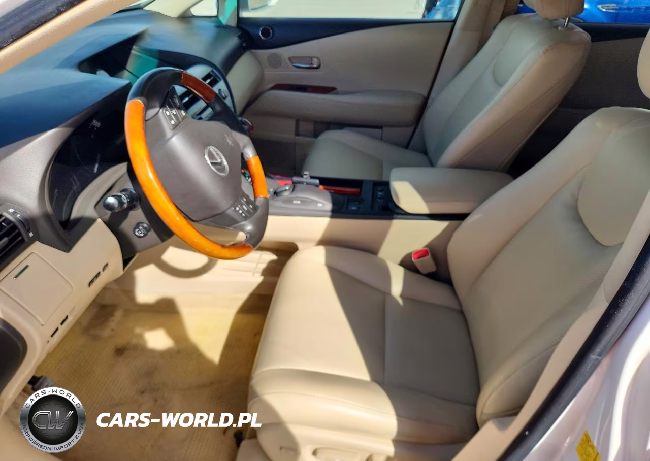 2010 Lexus Rx 350 Base VIN:JTJZK1BA3A2410419 - 7