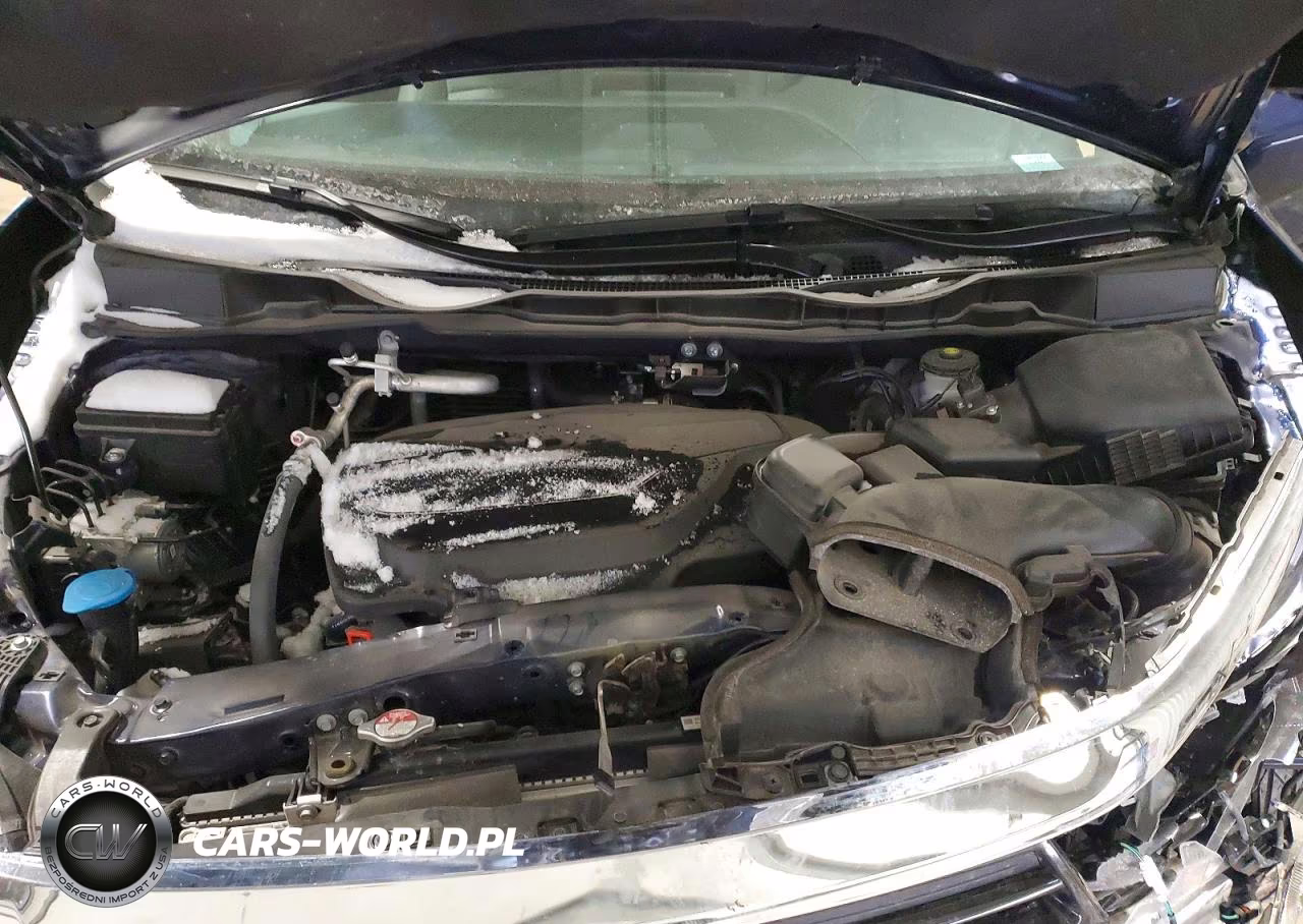 2024 Honda Odyssey Exl VIN:5FNRL6H62RB064615 - 12