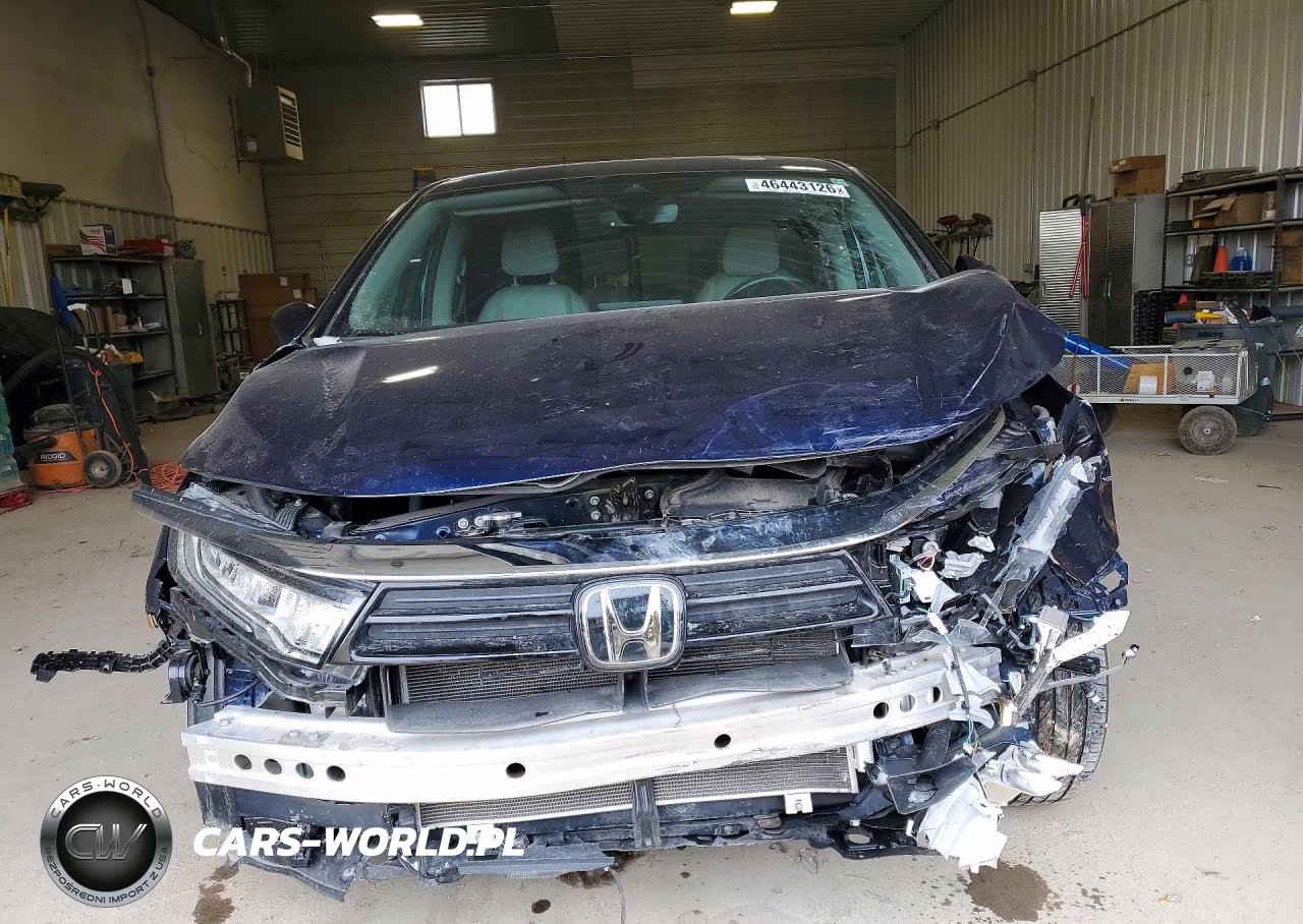 2024 Honda Odyssey Exl VIN:5FNRL6H62RB064615 - 5