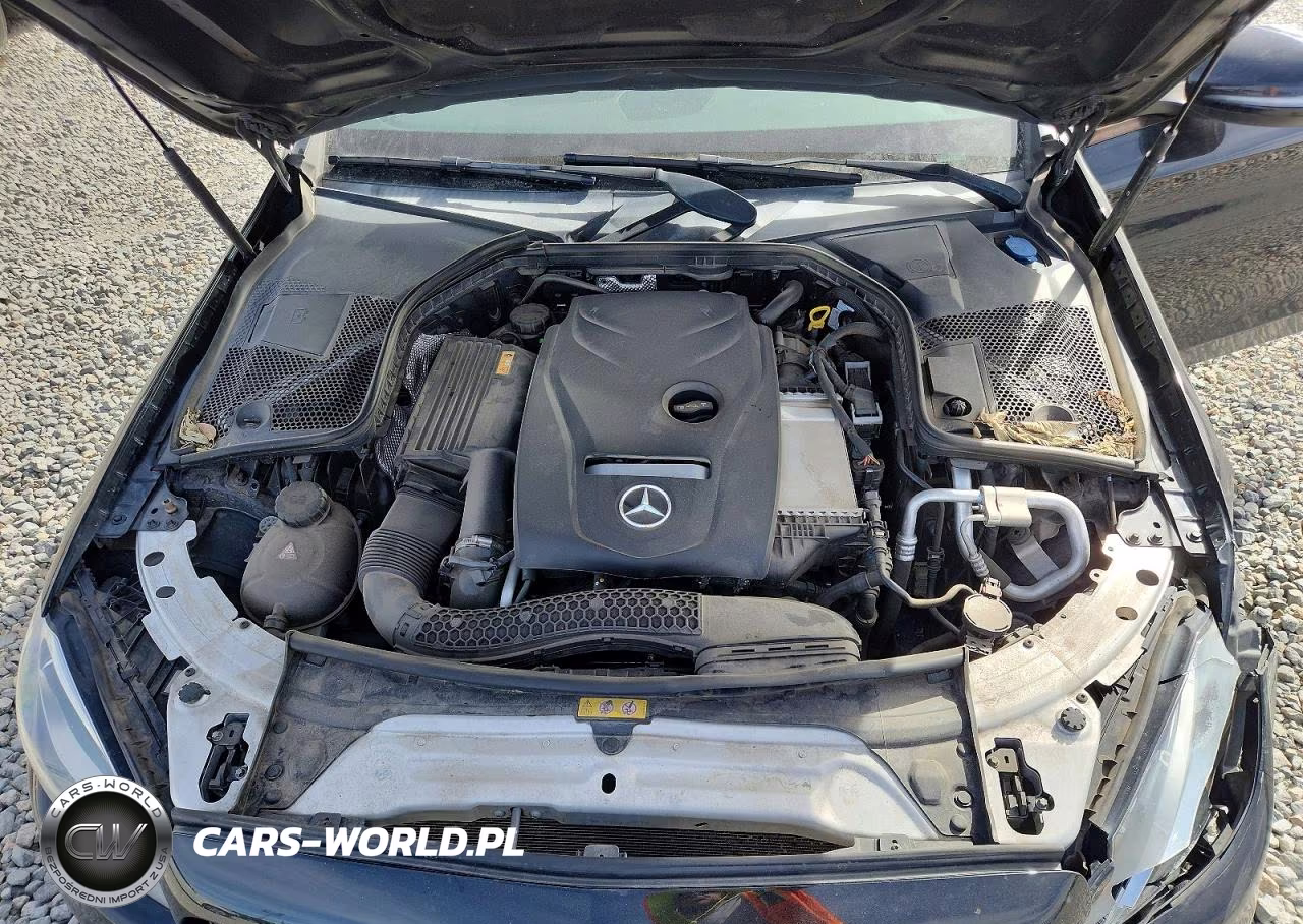 2017 Mercedes-Benz C 300 4Matic VIN:55SWF4KB5HU206604 - 11